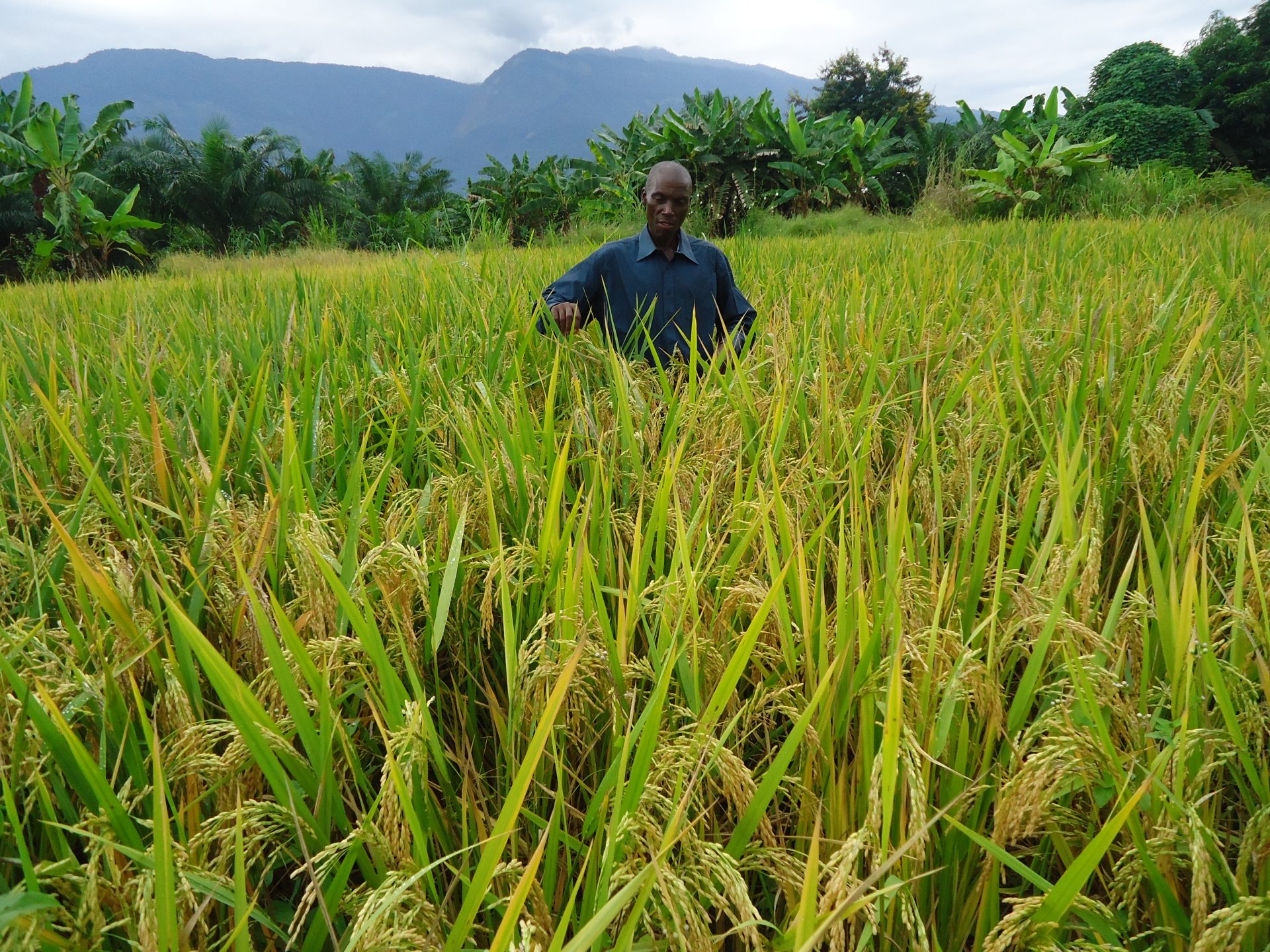 inspiring-youth-in-tanzania-to-transform-farming-practices-for