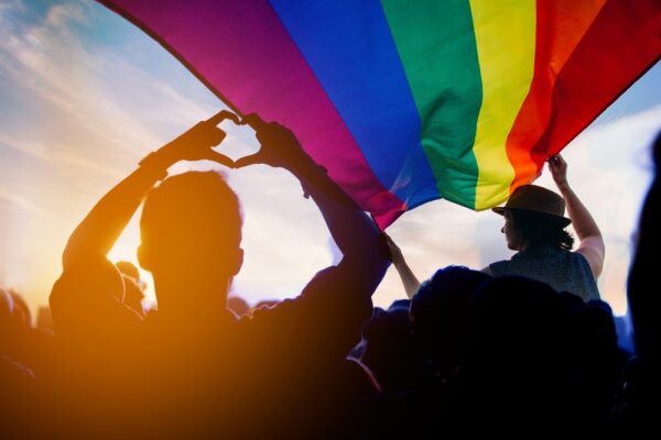 Pride Month Blog Series Experts Discuss Opportunities For Expanding 