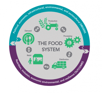 Food Systems Series: ACDI/VOCA’s Conceptualization of and Approach to ...