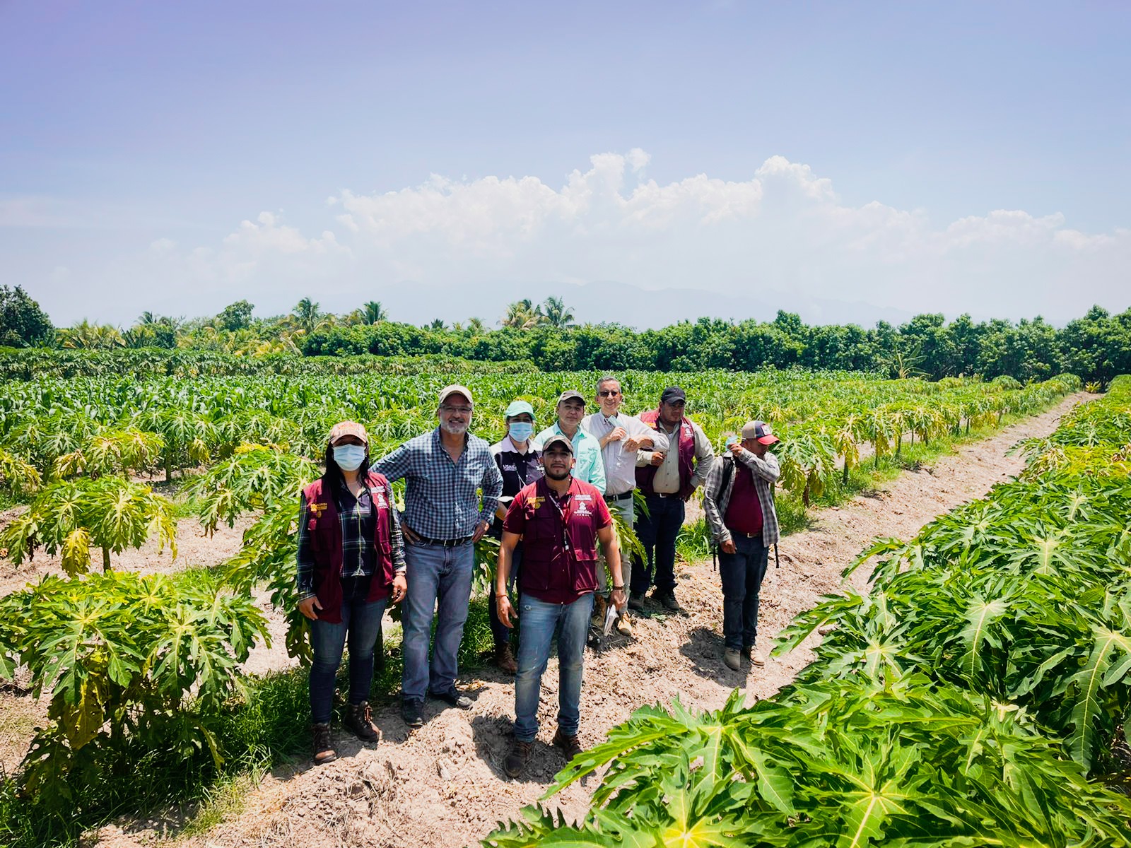 Feed The Future Honduras Food Security Agriculture And Resilient   6 