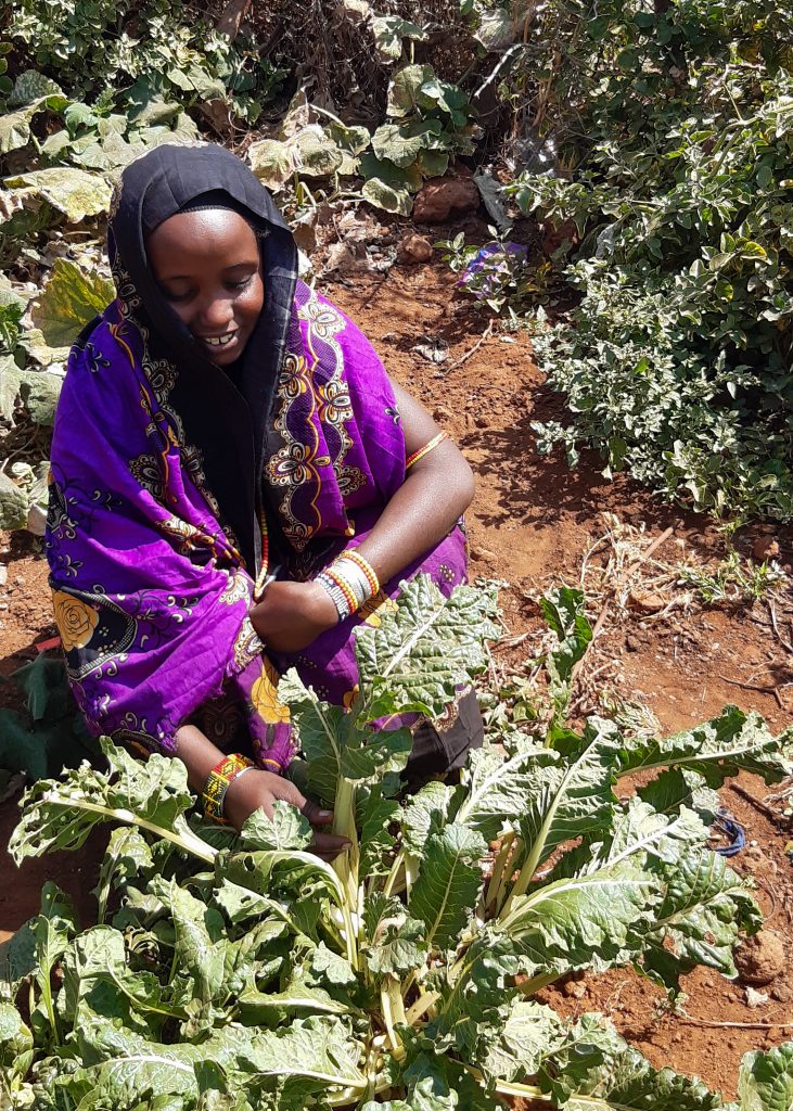 Young Women Contribute to Food Security & Nutrition in Northern Kenya ...