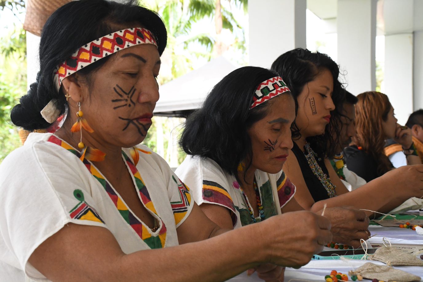 A Look At Usaid S Indigenous Peoples And Afro Colombian Empowerment Activity Acdi Voca